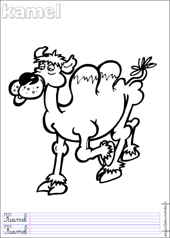 coloriage chameau 1